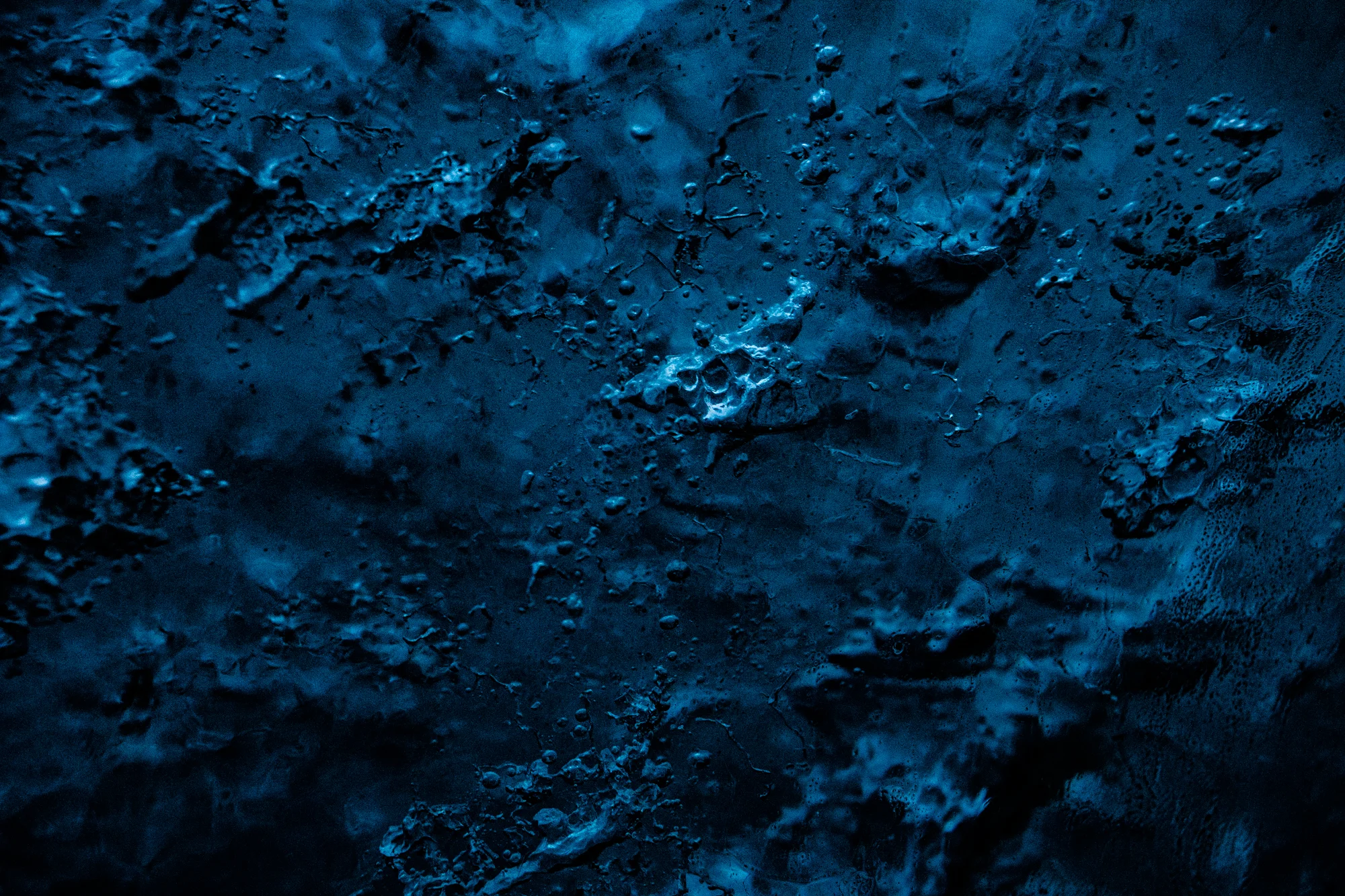 DSC_1310.jpg