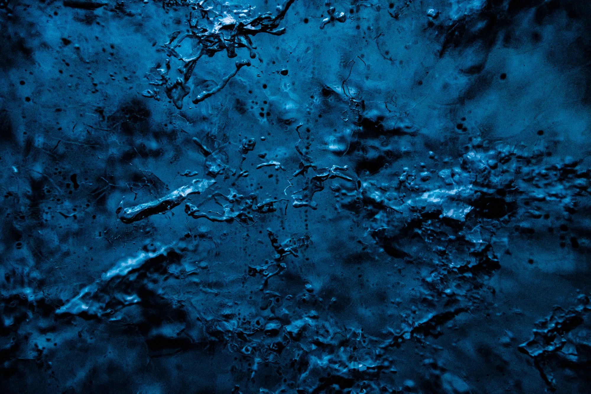 DSC_1312.jpg