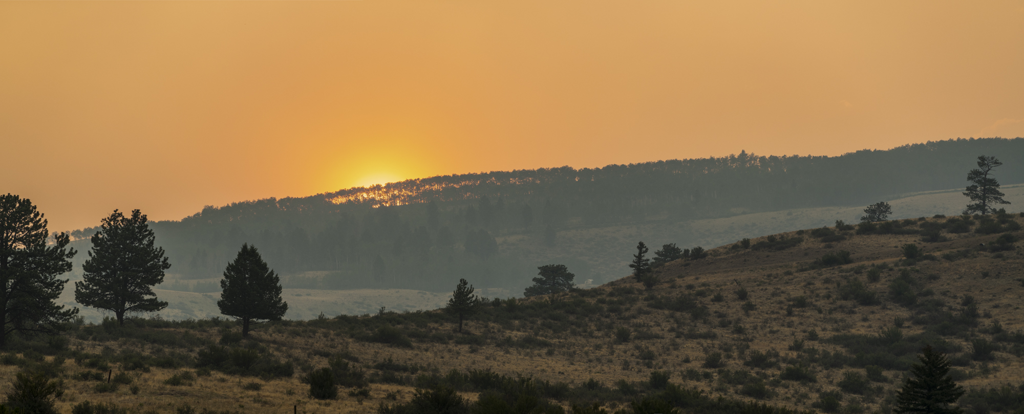 DSC_7416-Pano.jpg