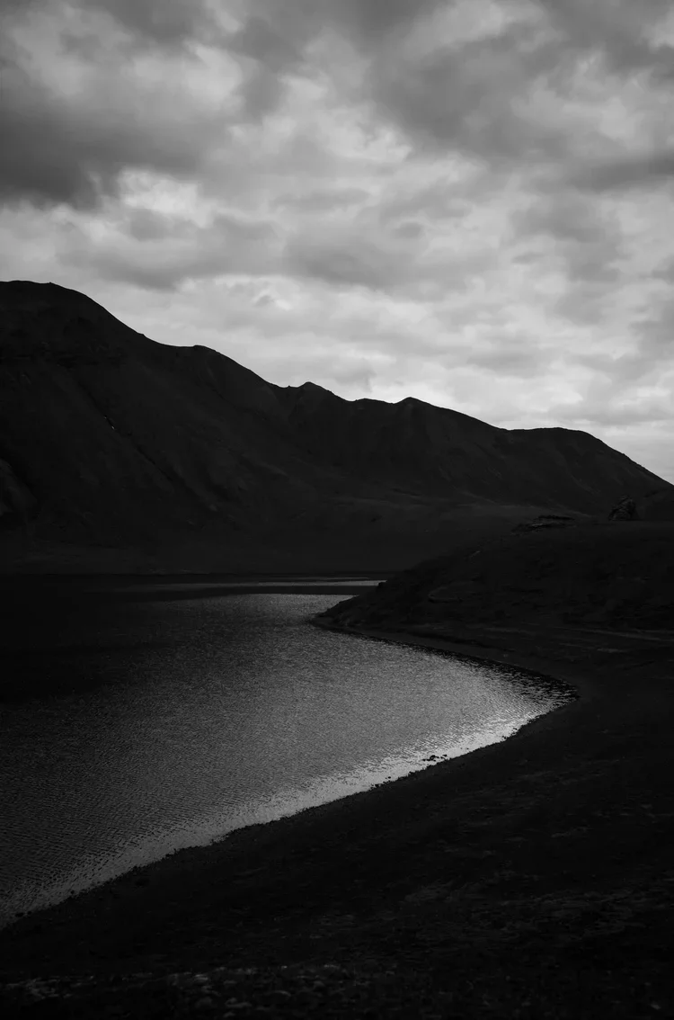 No Cell Service Nº2.jpg.webp