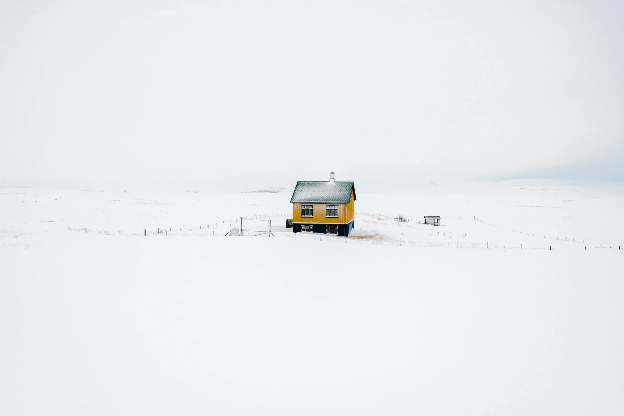 Yellow House Nº1.jpg.webp