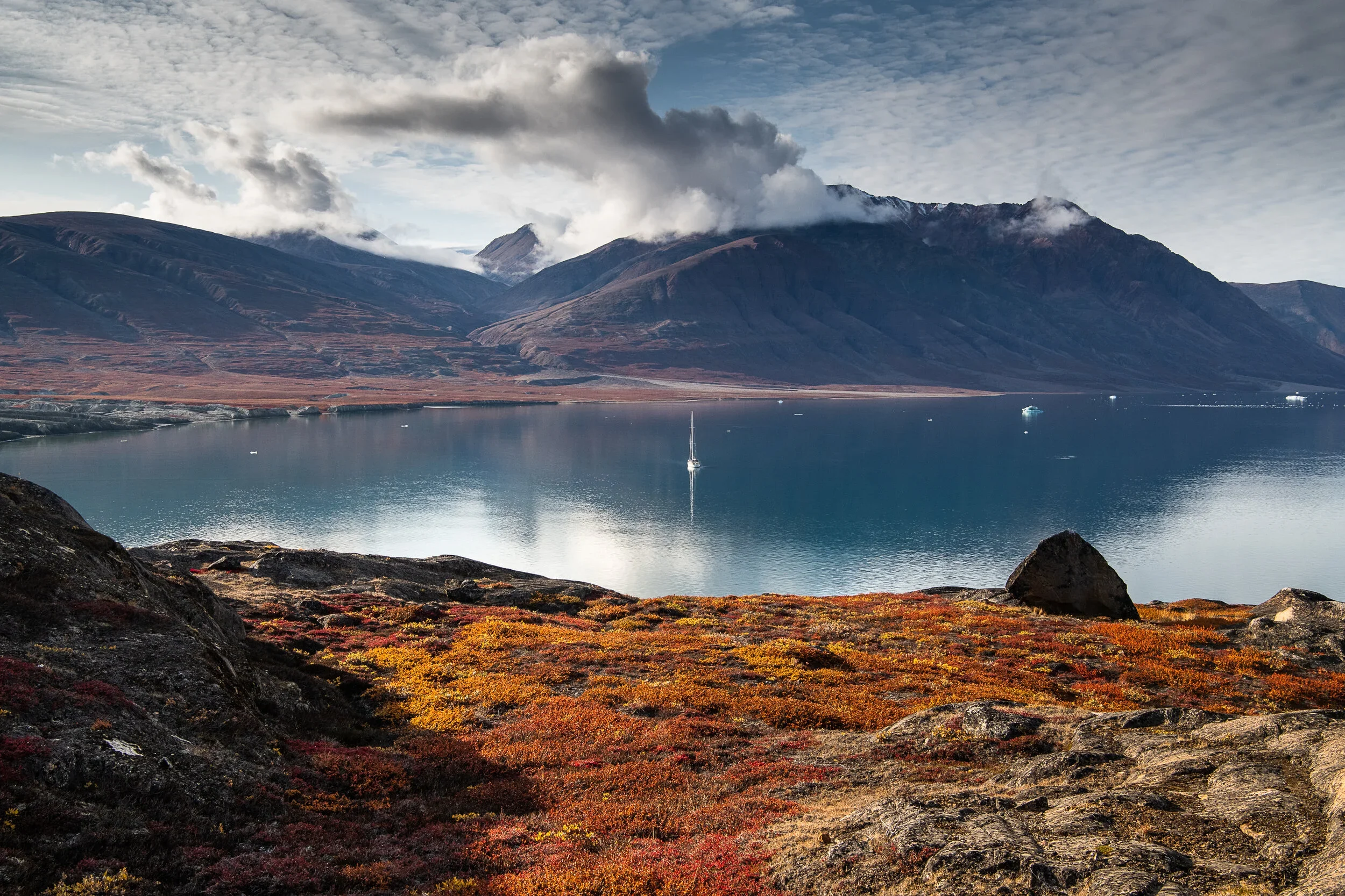 Sailor's Delight Nº4.jpg.webp