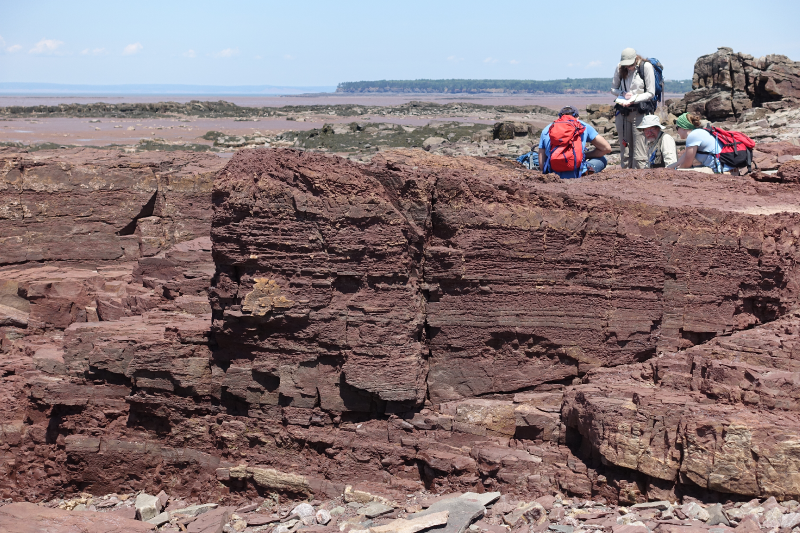 Cheverie terrestrial red beds