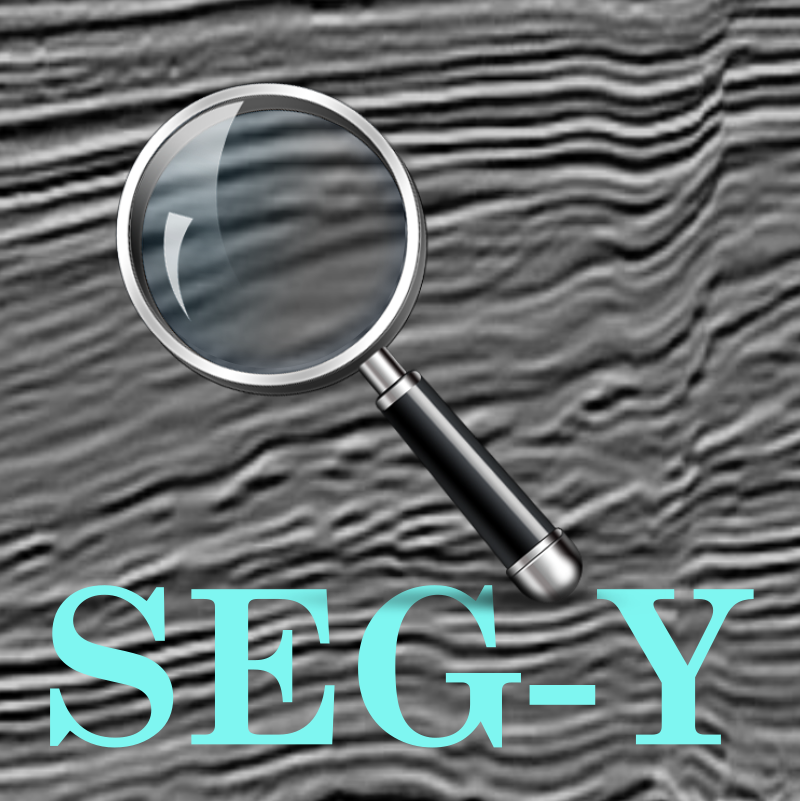 A forensic audit of seismic data