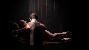 fence trailer (2019) staibdance