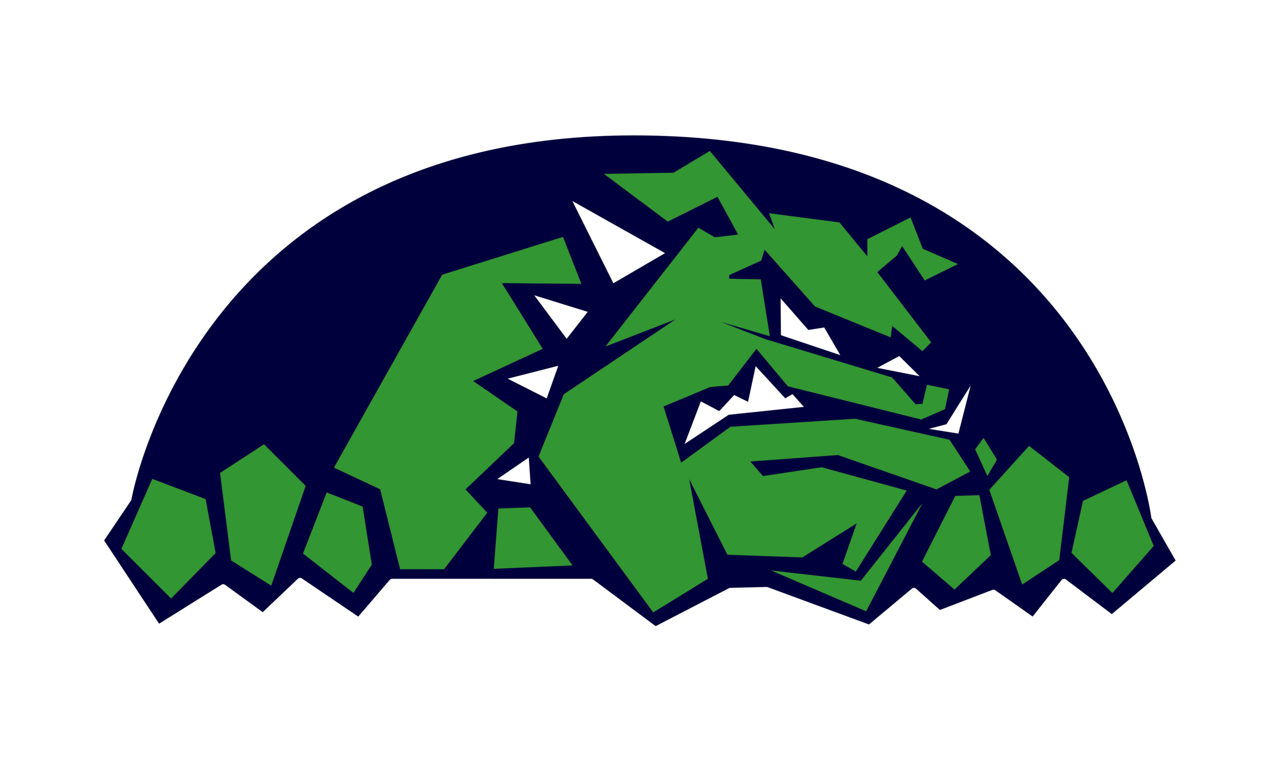 CISD Mascot Image.png