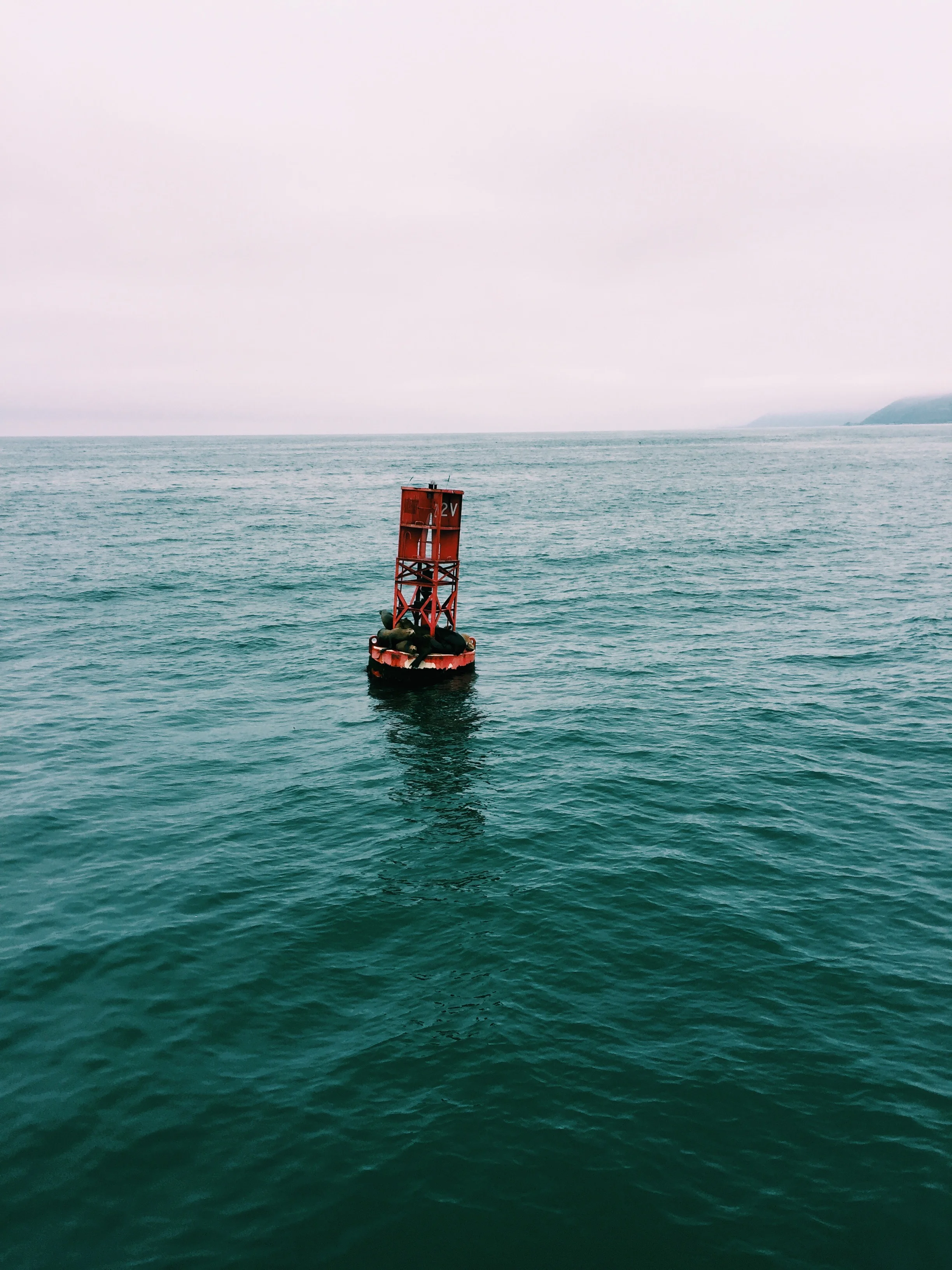 Getting lost in a sea of technical jargon?