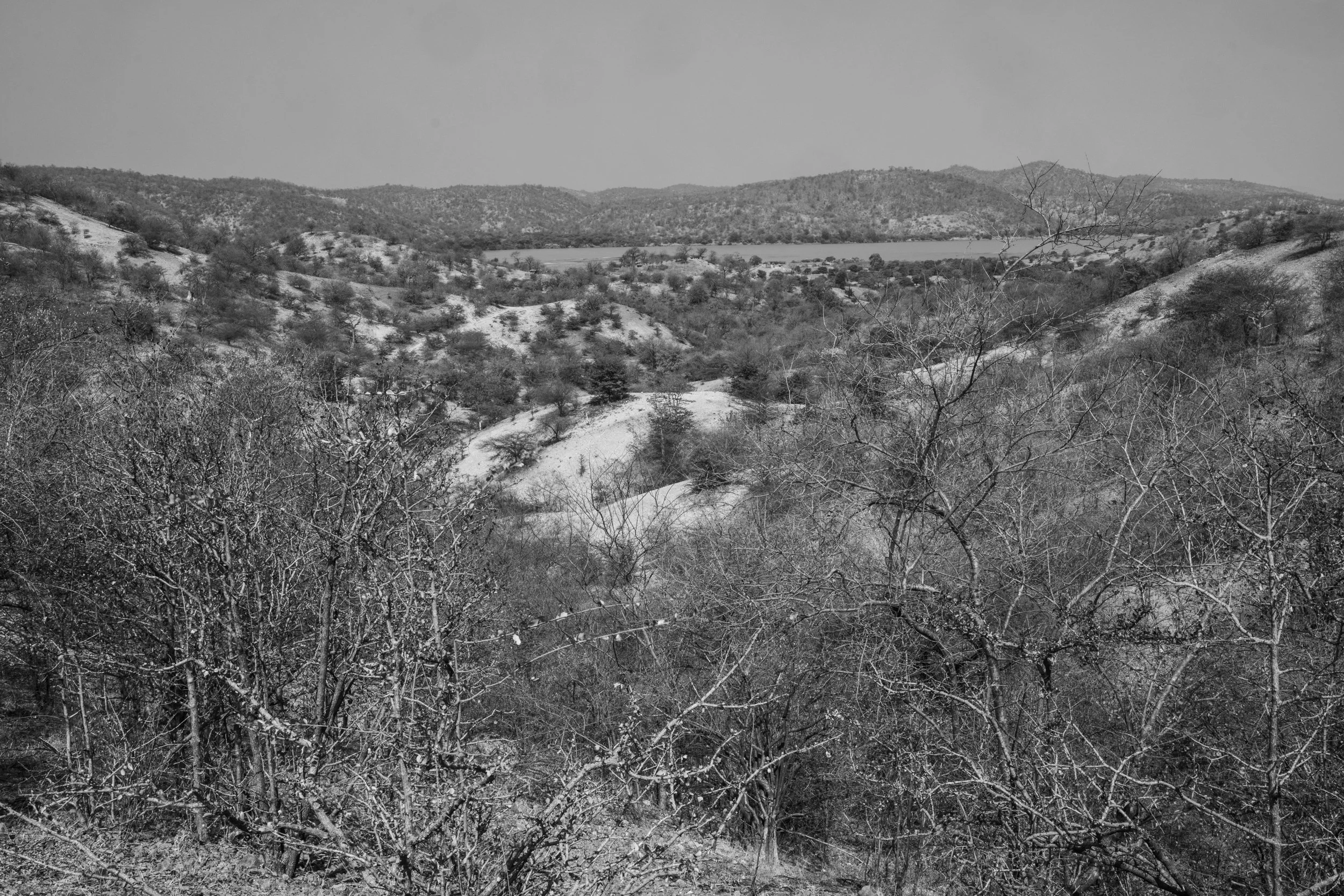 SdVMocambique-2.jpg