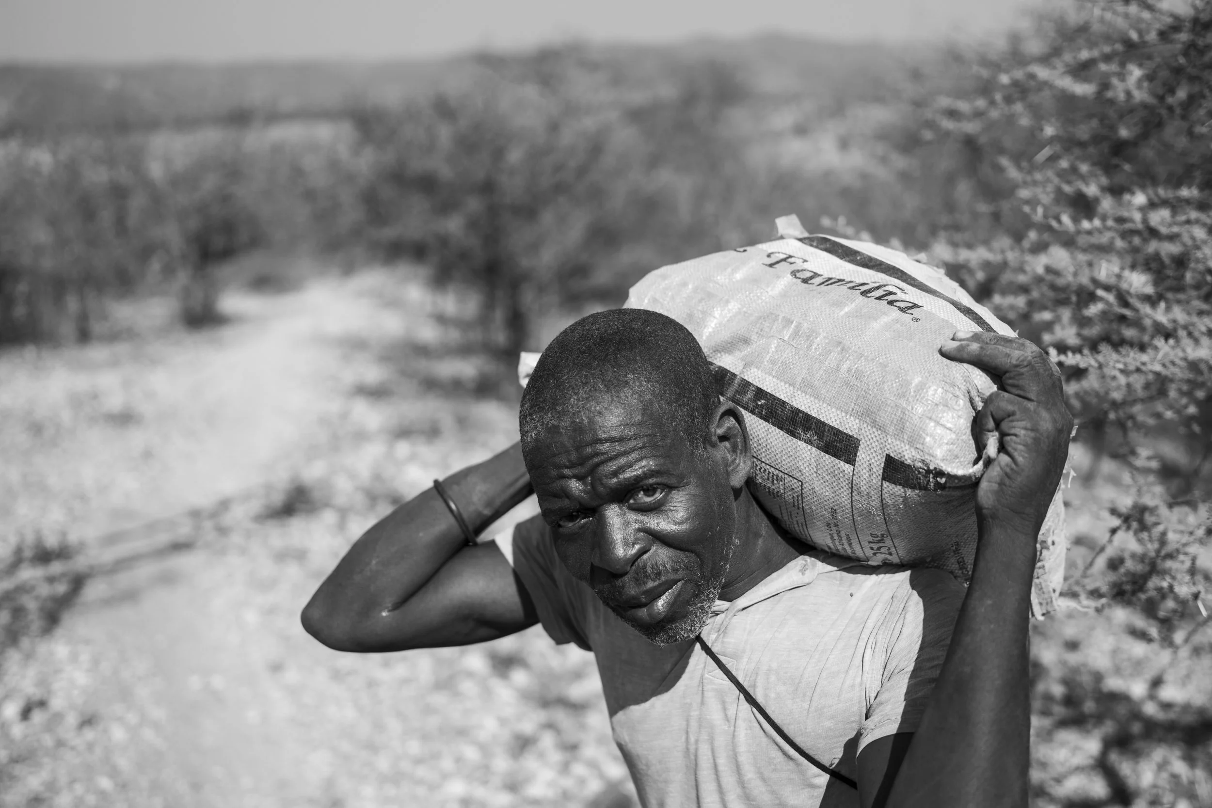 SdVMocambique-4.jpg