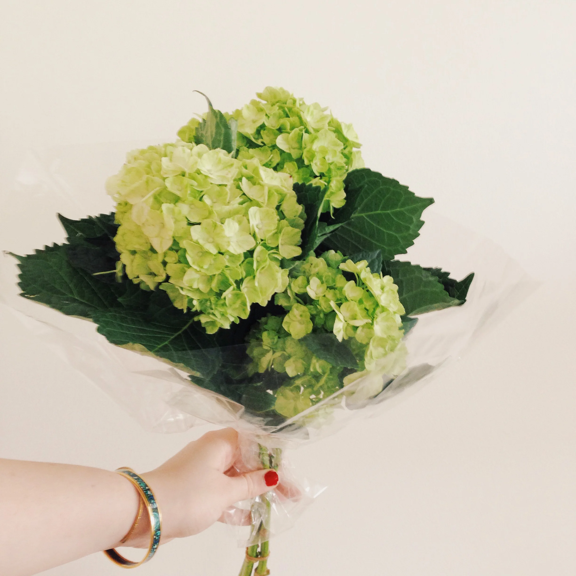 fresh hydrangeas from whole foods 