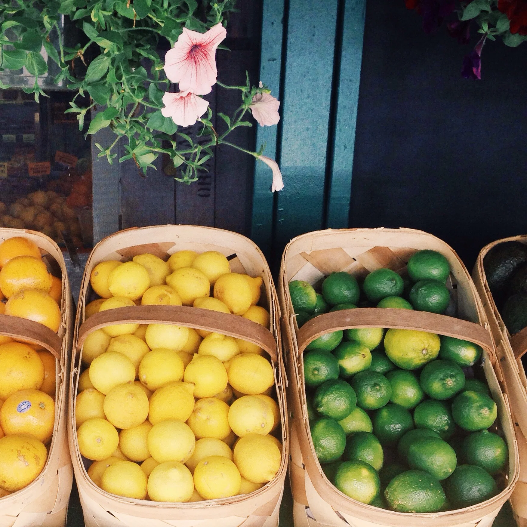 Leomons and Limes at Local the Fruit Stand 