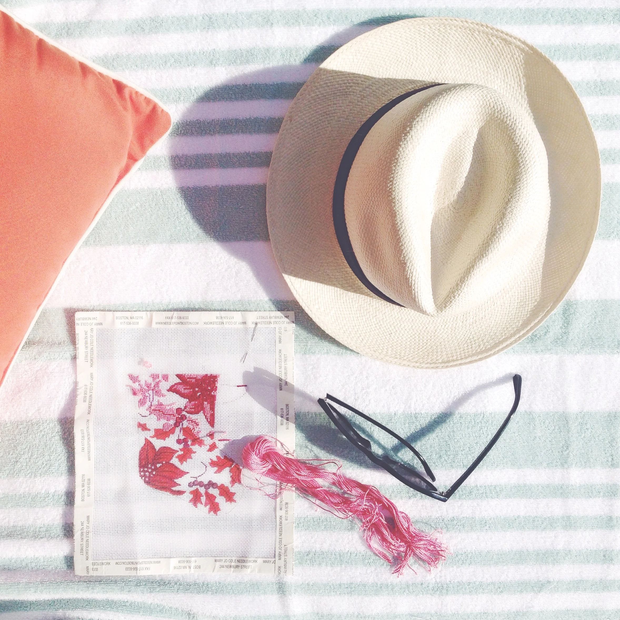 needlepoint by the pool ( Sun Hat, Sunglasses ) 