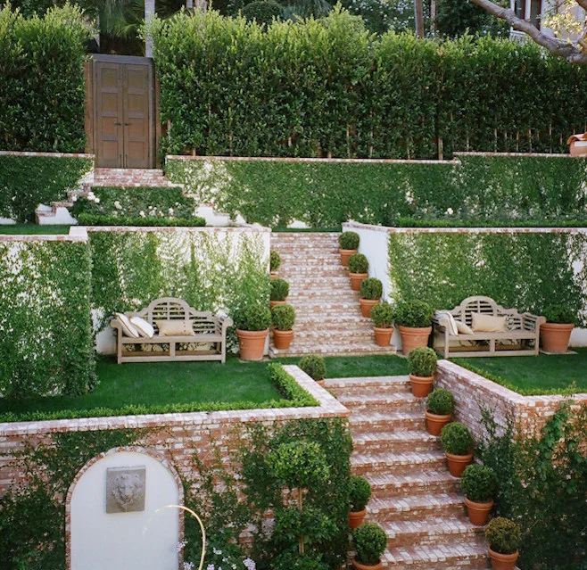 Brick, Ivy, & Boxwood 