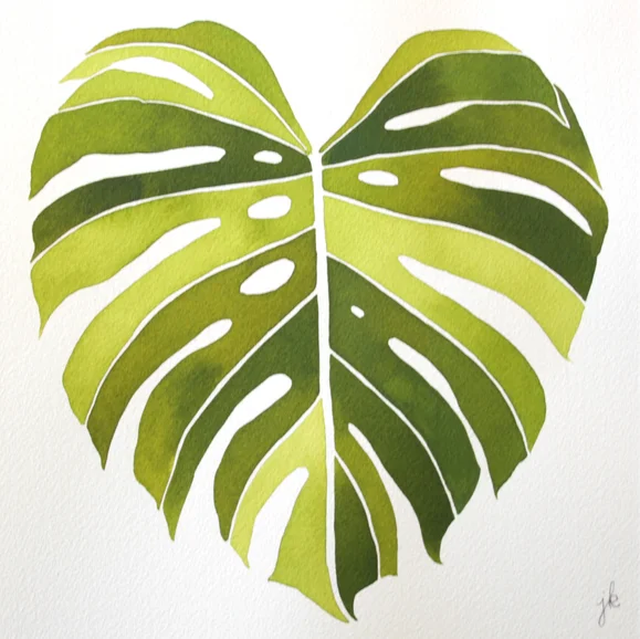 7.20.15 - Current Favorites 