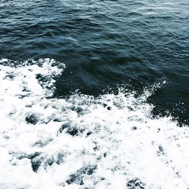 Life Lately - August in Maine 