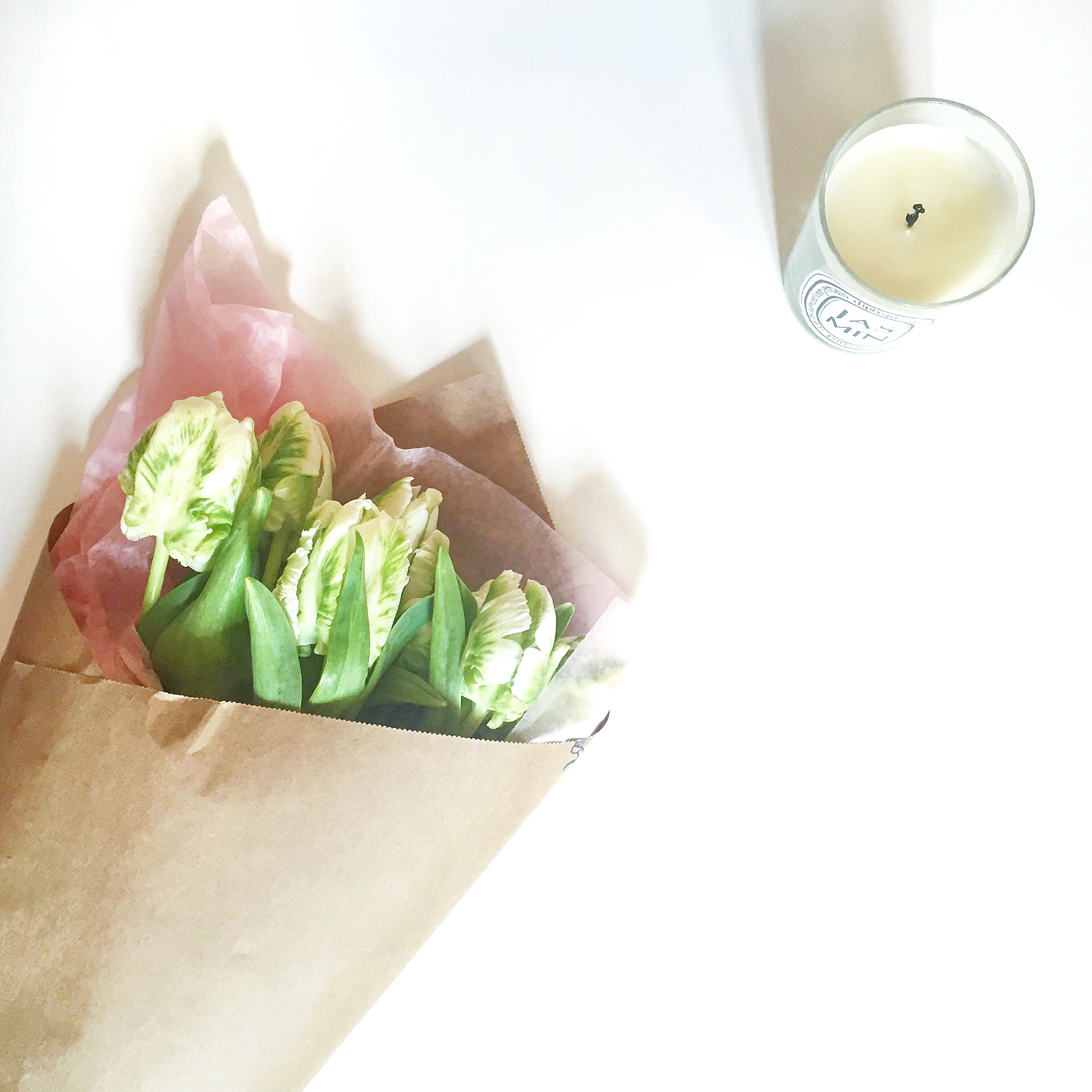 Parrot Tulips - Fresh Flowers