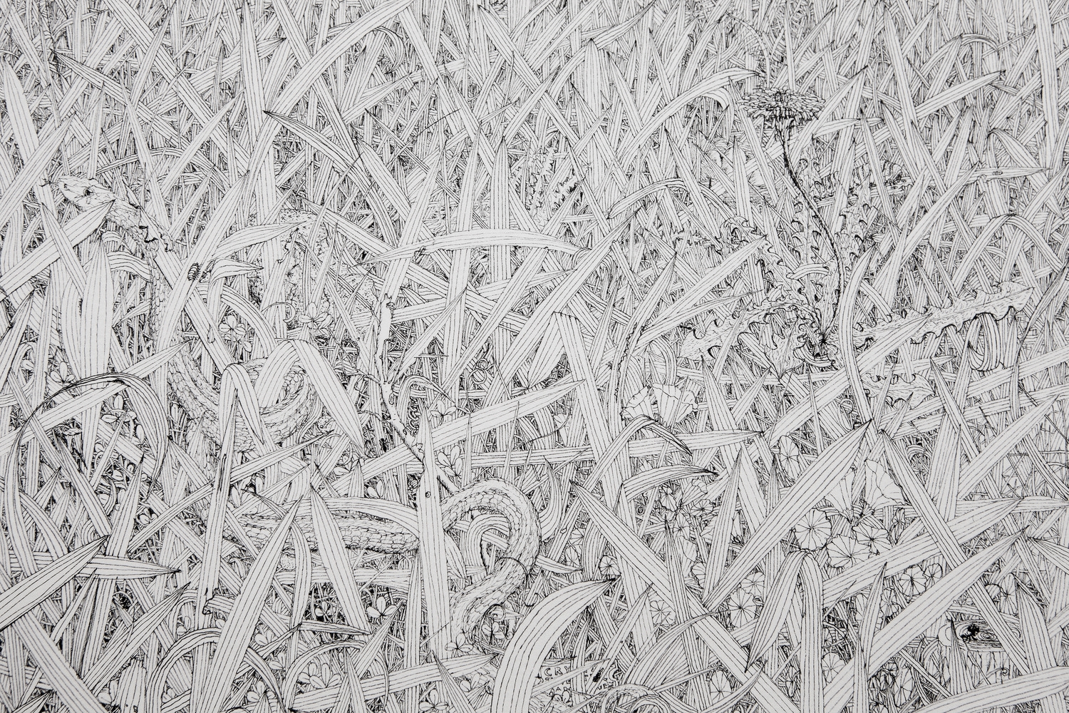 Grass #3 (detail)