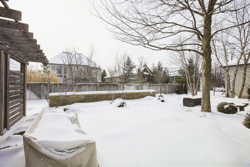 1024 IMG_4422-Edit.jpg