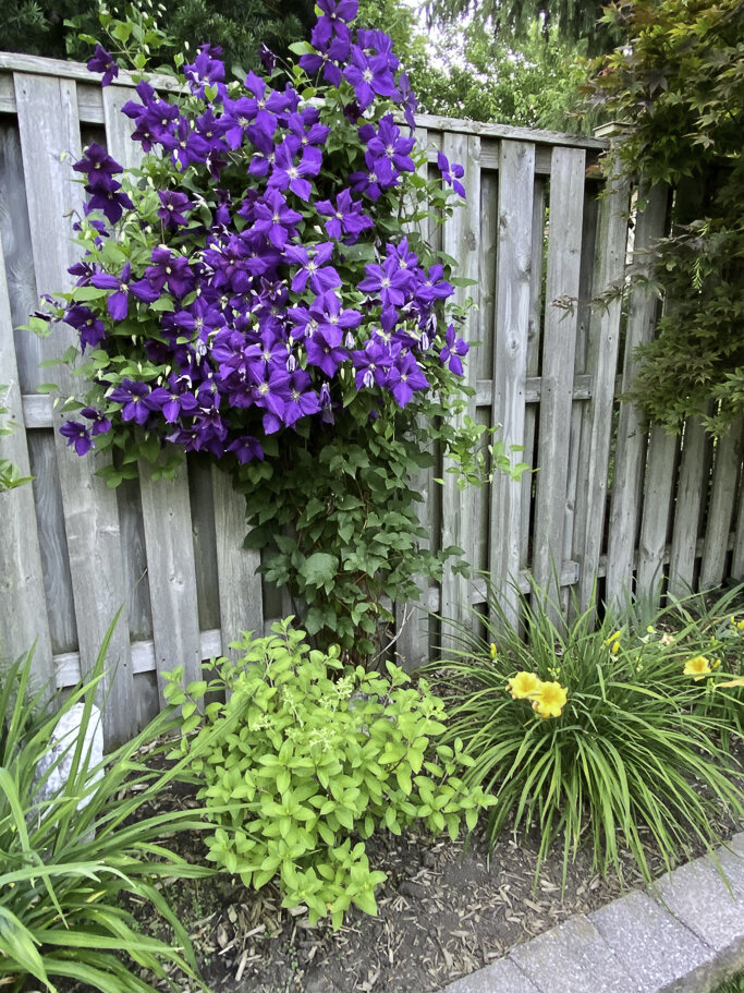 1024 fullsizeoutput_3a05.jpg