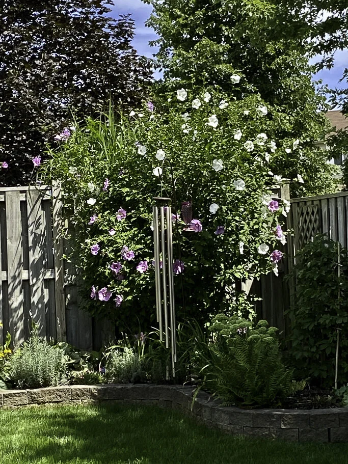 1024 fullsizeoutput_3bb7.jpg