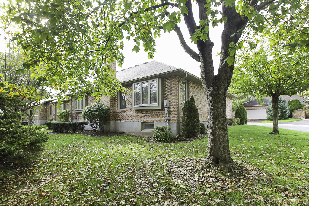 1024 IMG_9799-Edit.jpg