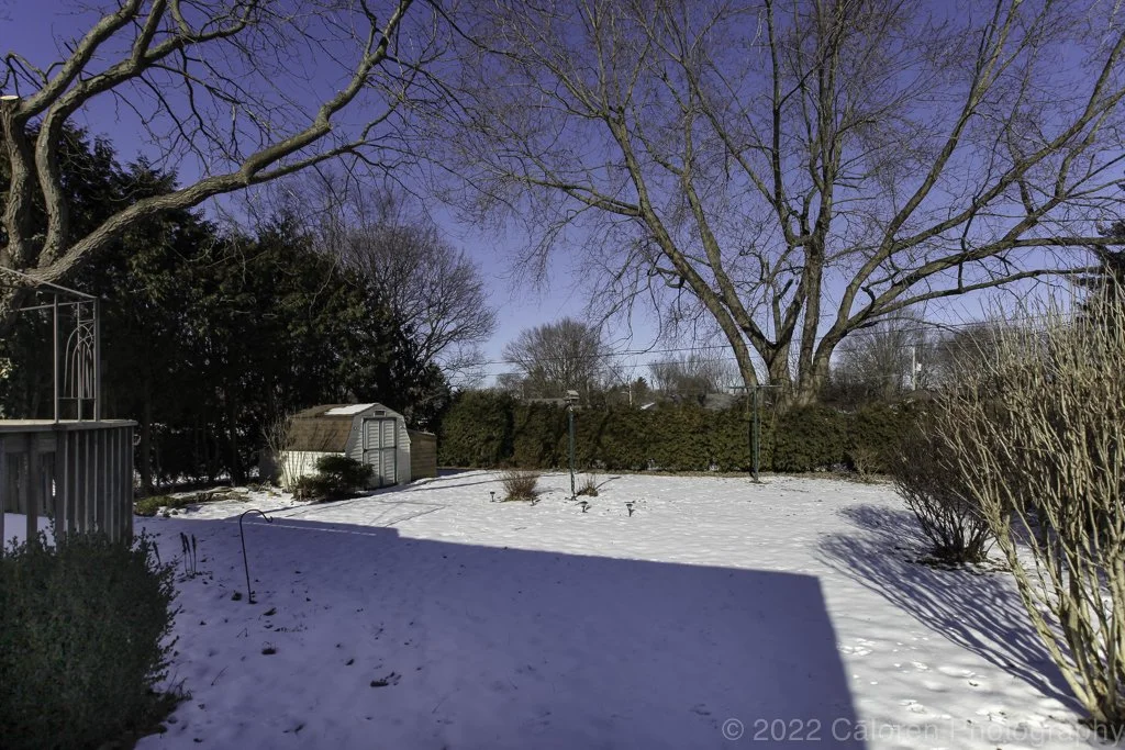 1024 IMG_0708-Edit.jpg