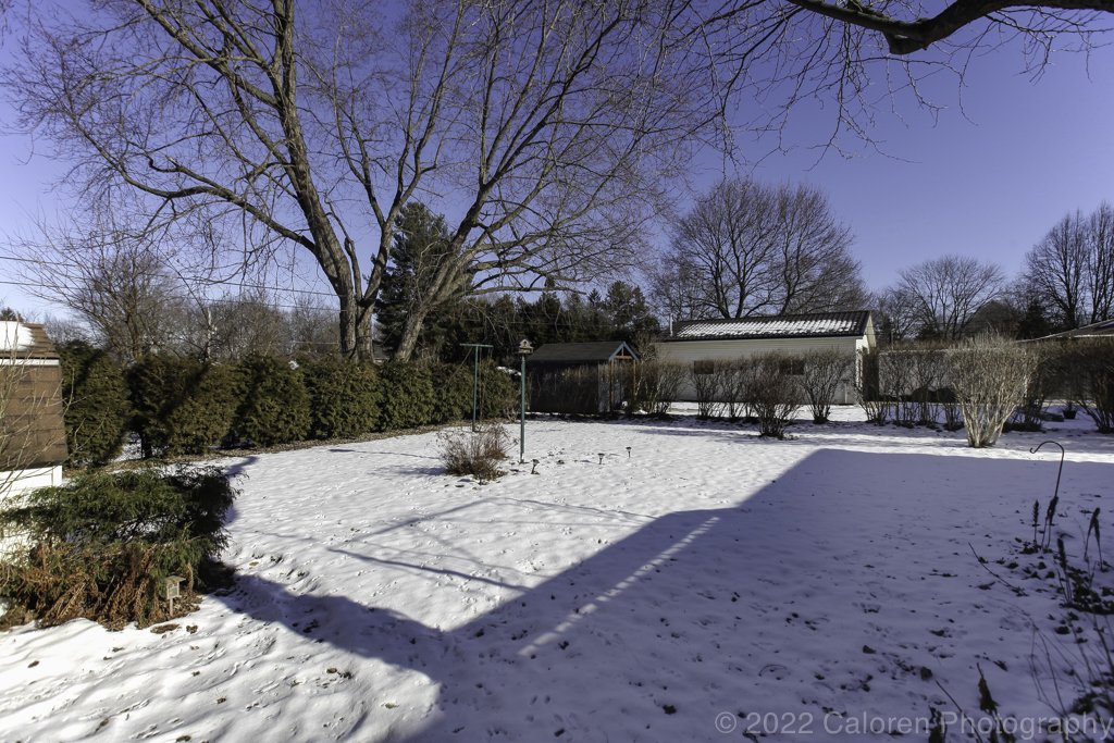 1024 IMG_0711-Edit.jpg