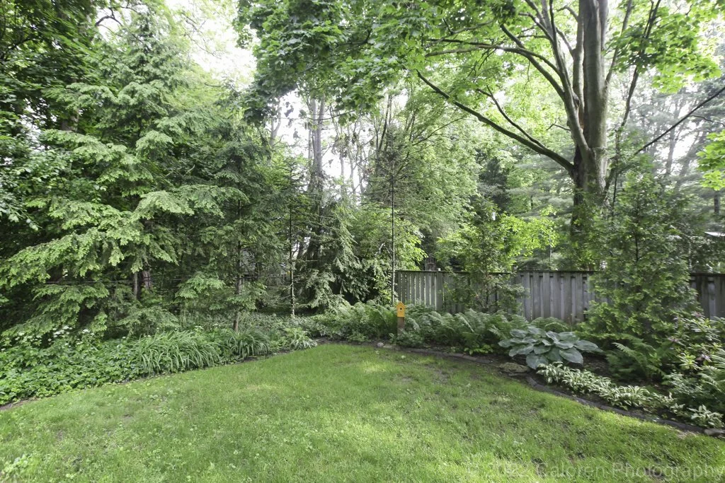 1024 IMG_2016-Edit.jpg