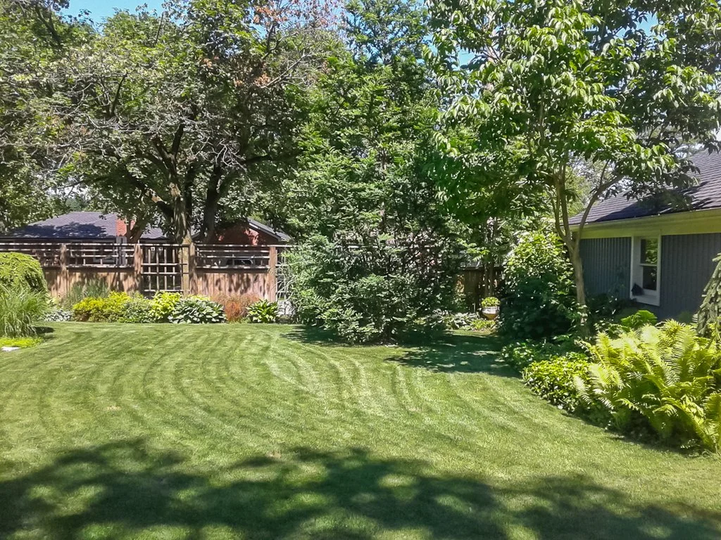 20190621_152935.jpg