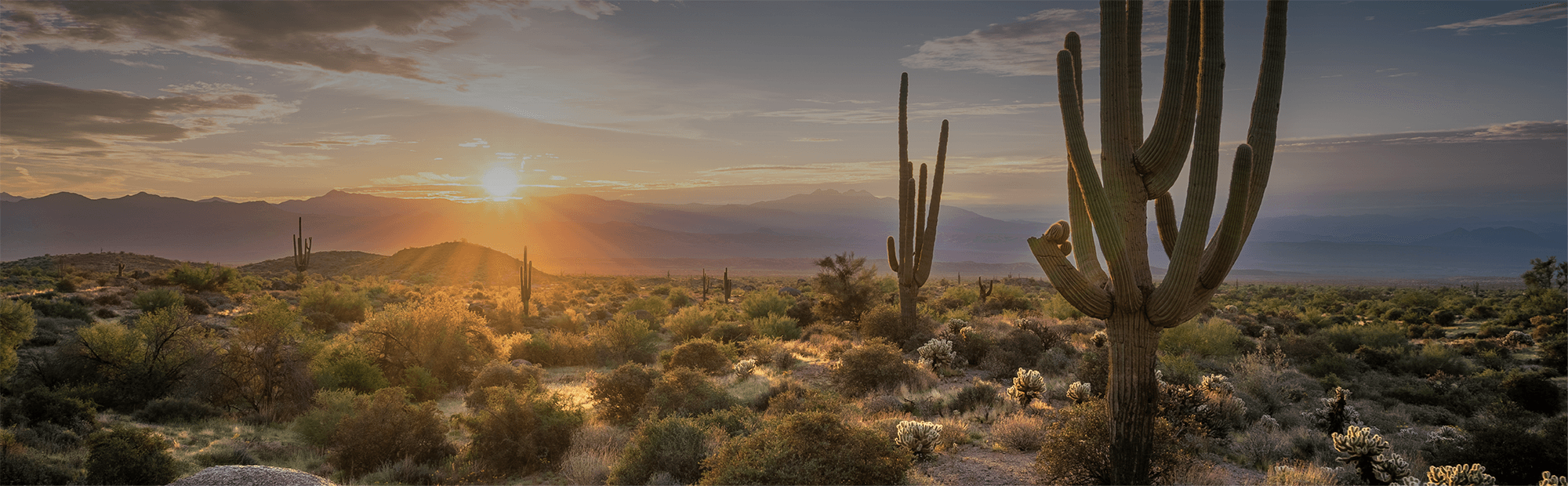 CSI SW 2026 Conference Banner v2.png