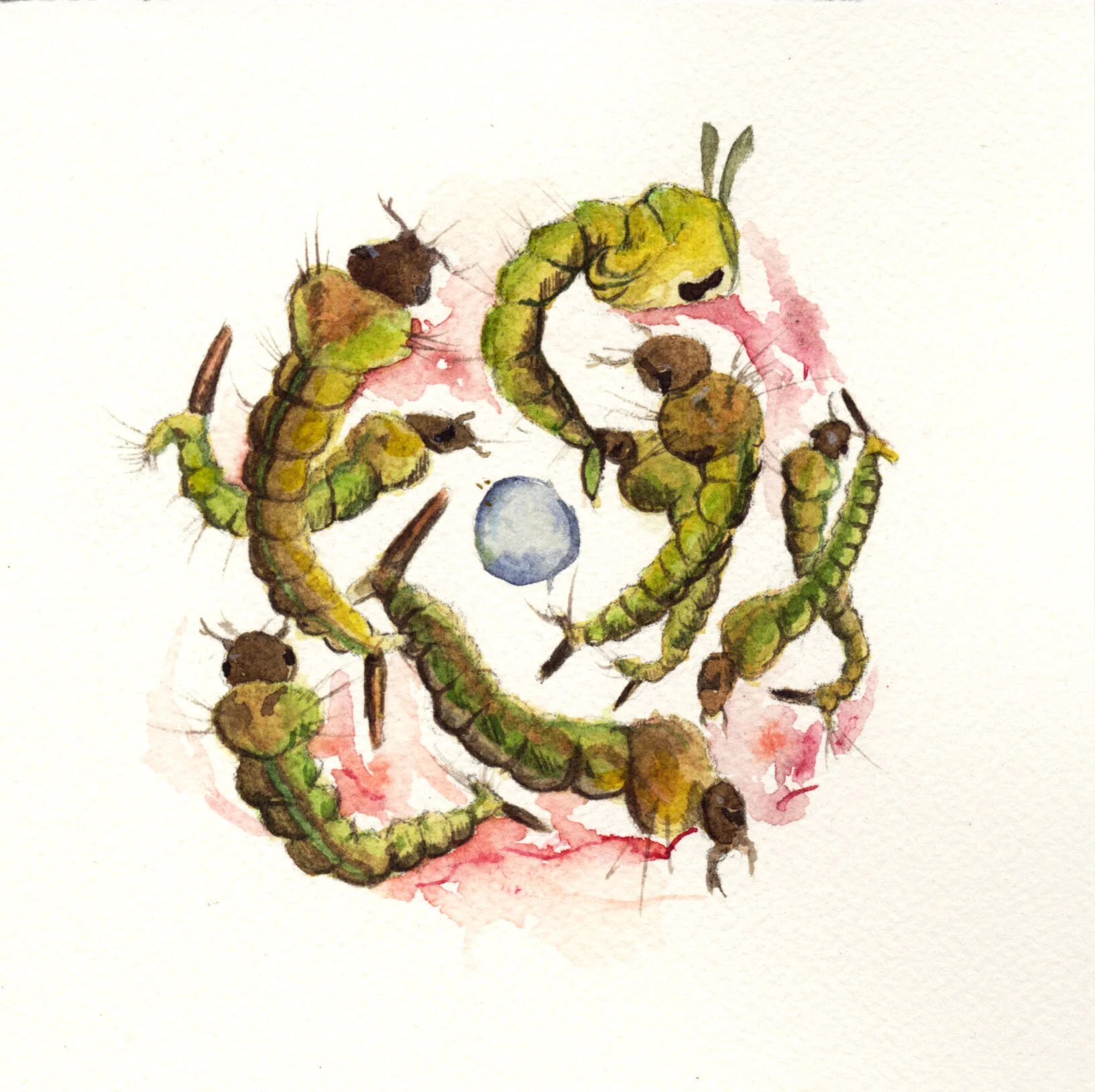 Larval Ritual, triptych