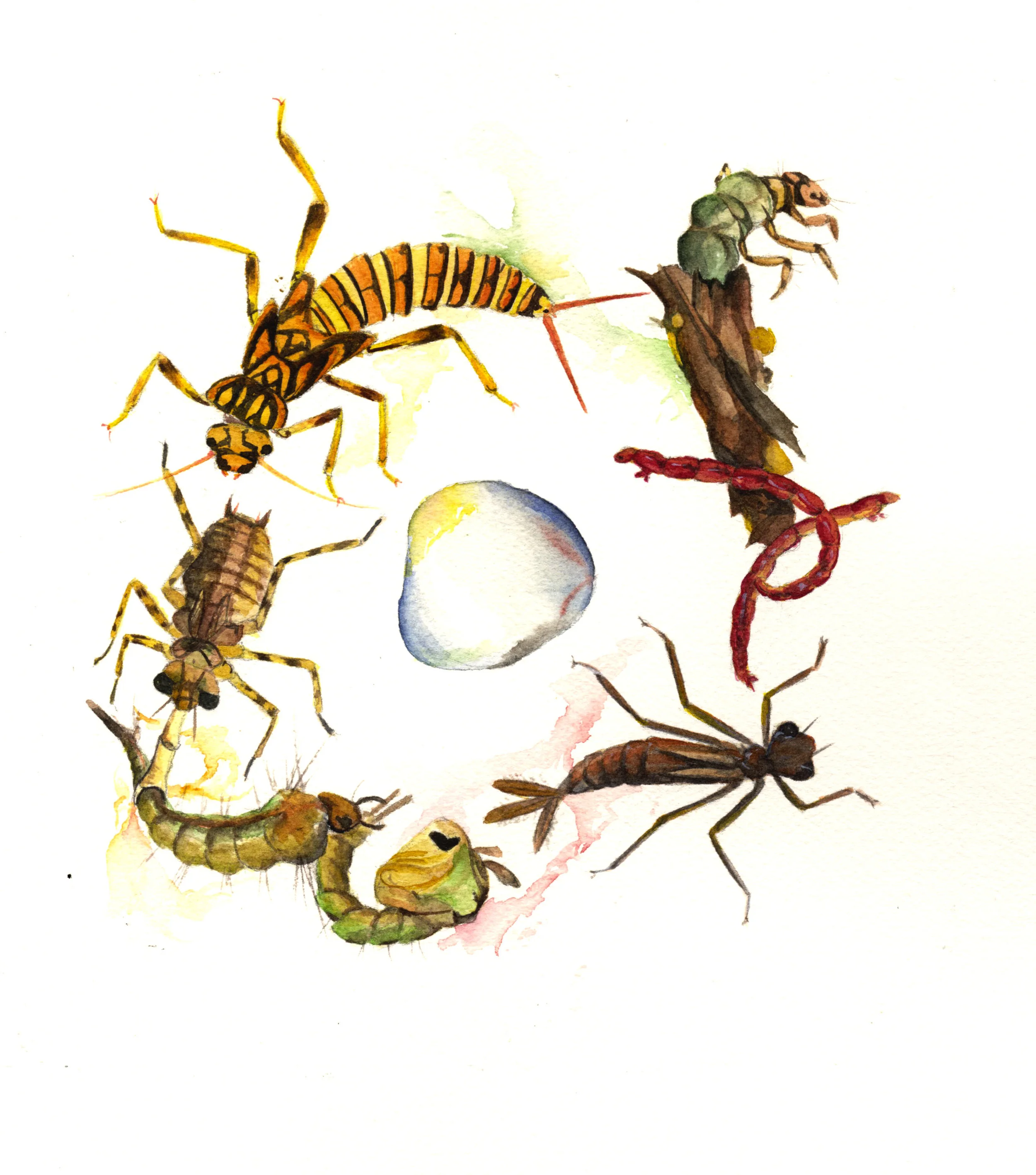 Larval Ritual, triptych
