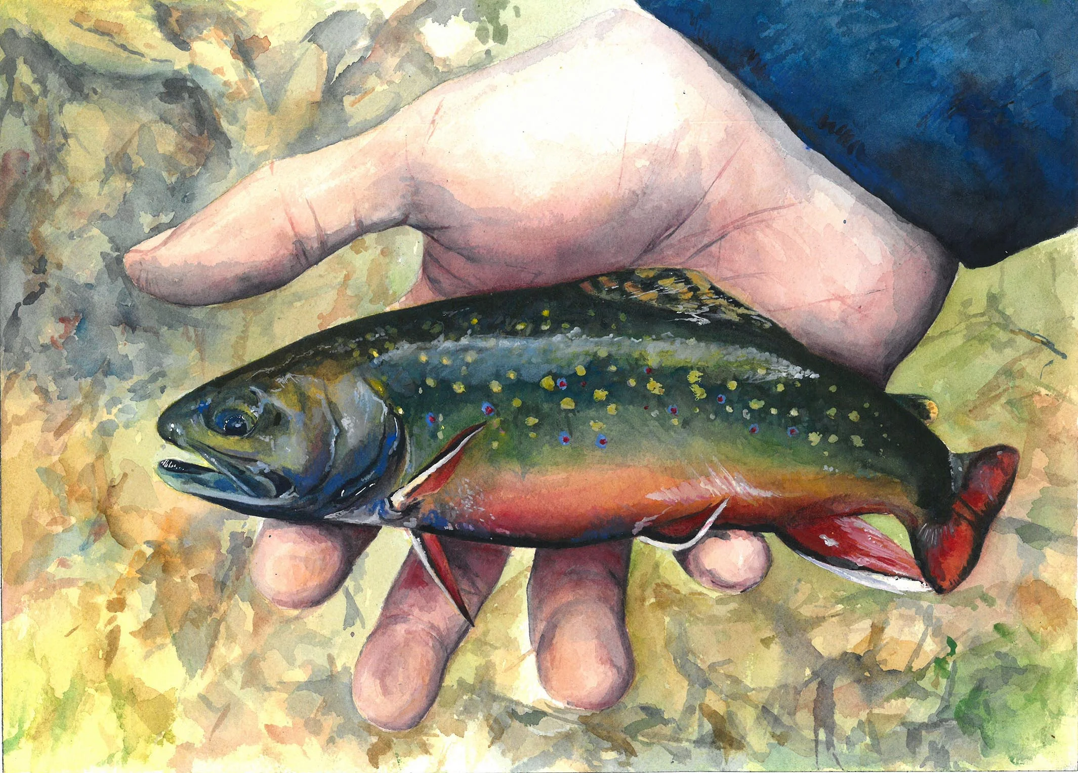 Brook Trout Commission
