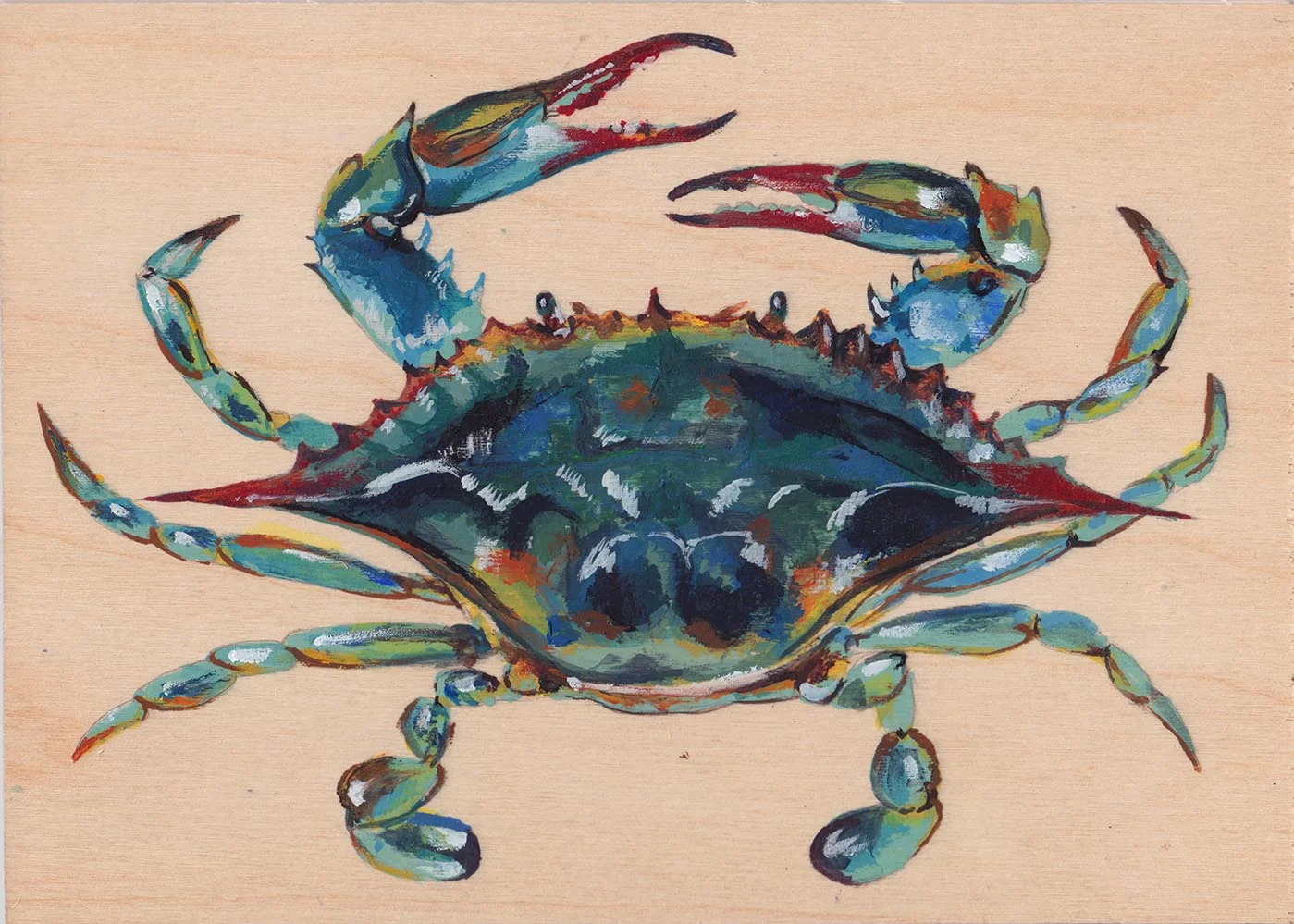East Coast Blue Crab