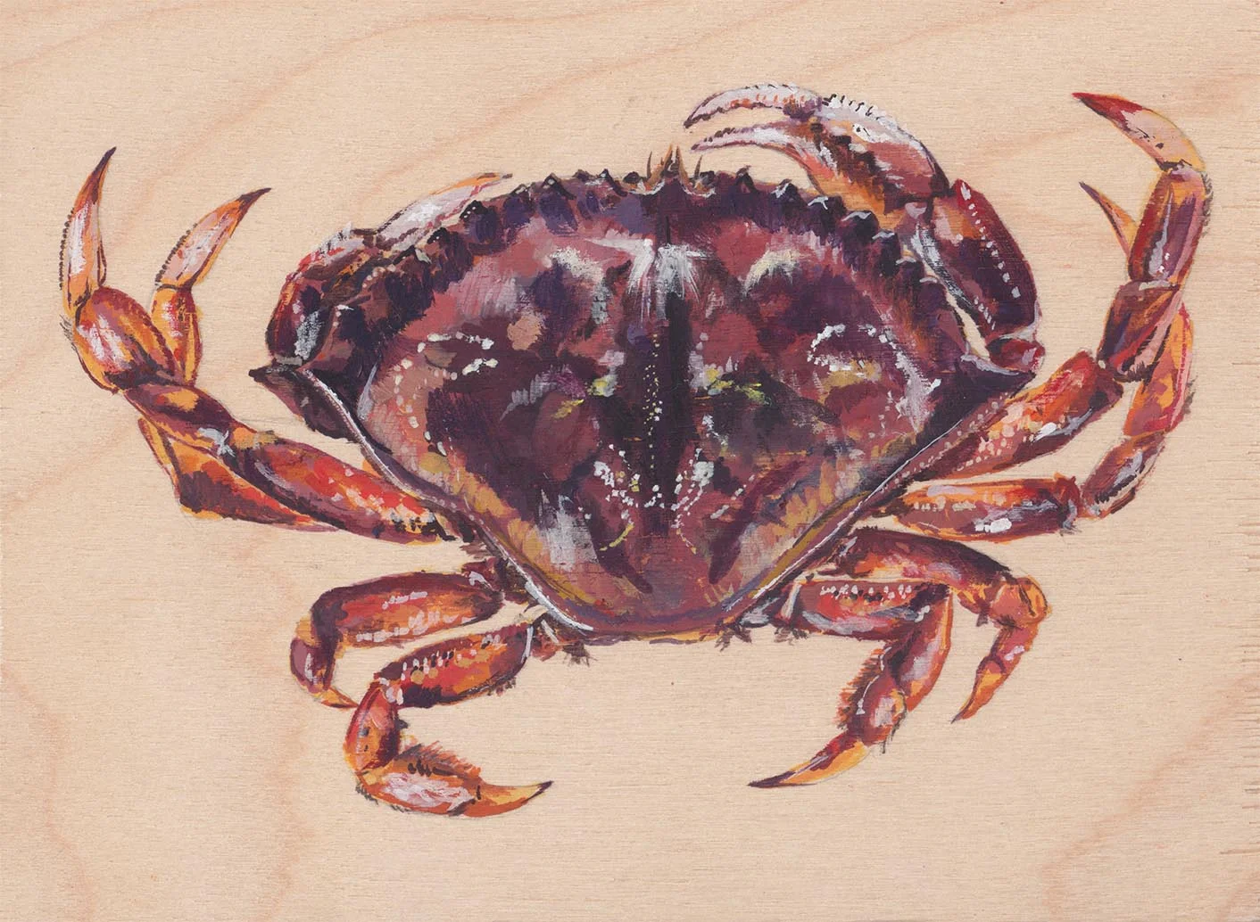 West Coast Dungeness Crab