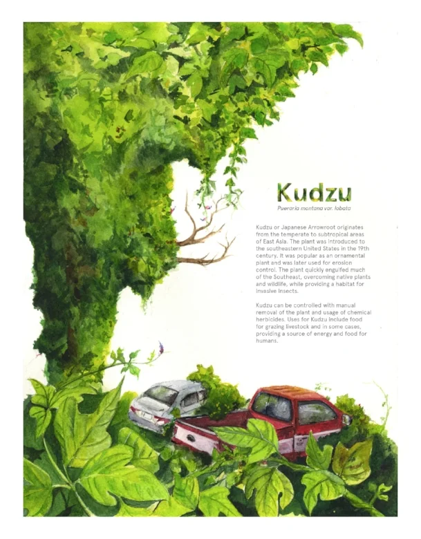 Kudzu: Invasive Species Poster