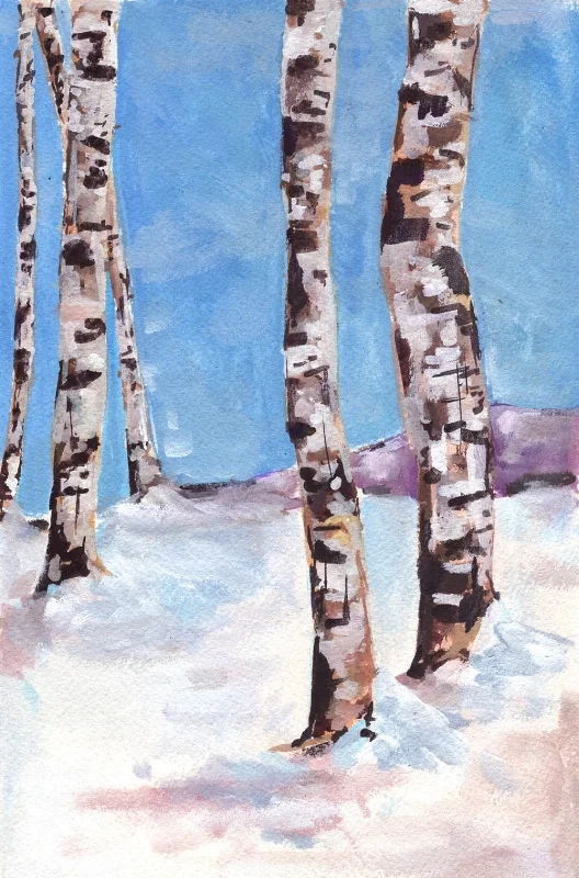 Birch in Winter