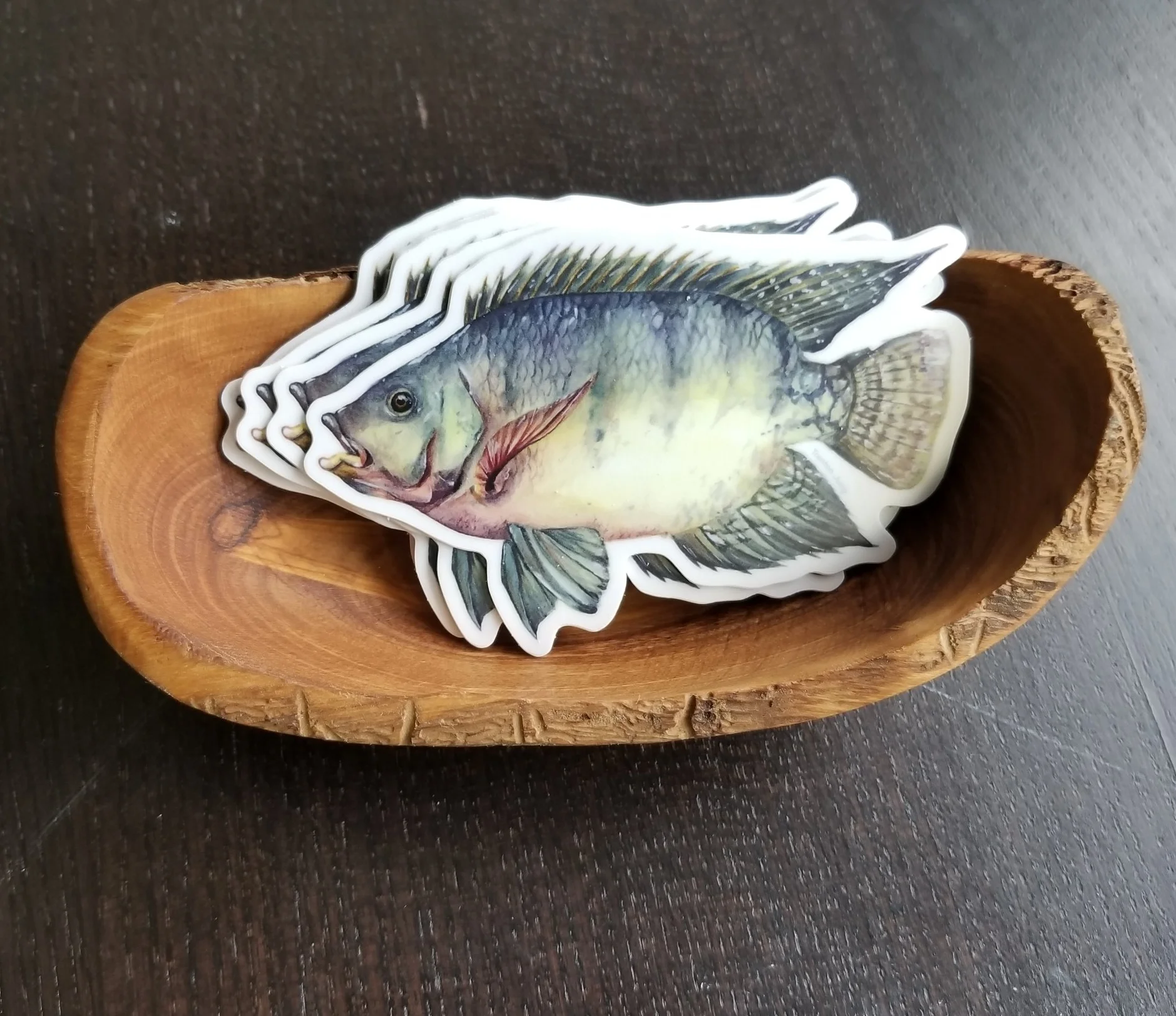 20181118_143924.jpg