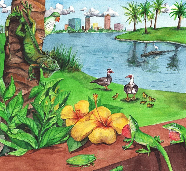 The Sunshine Garden