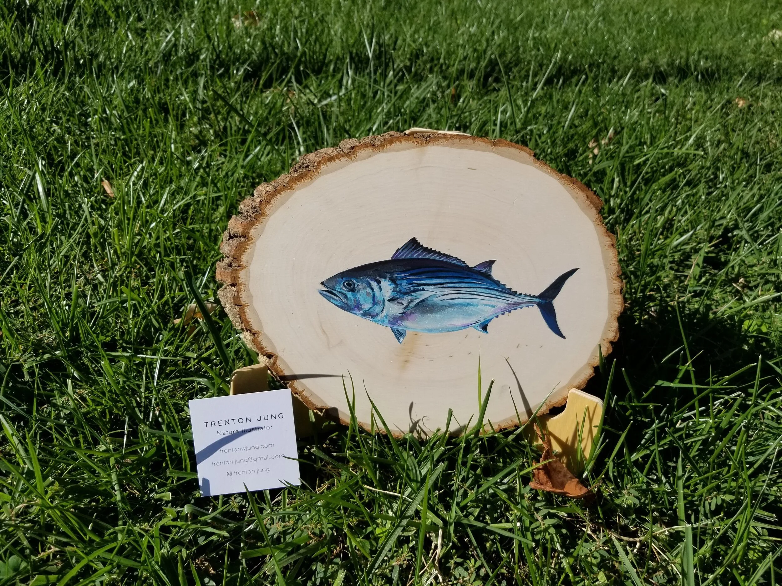 20191004_150143.jpg