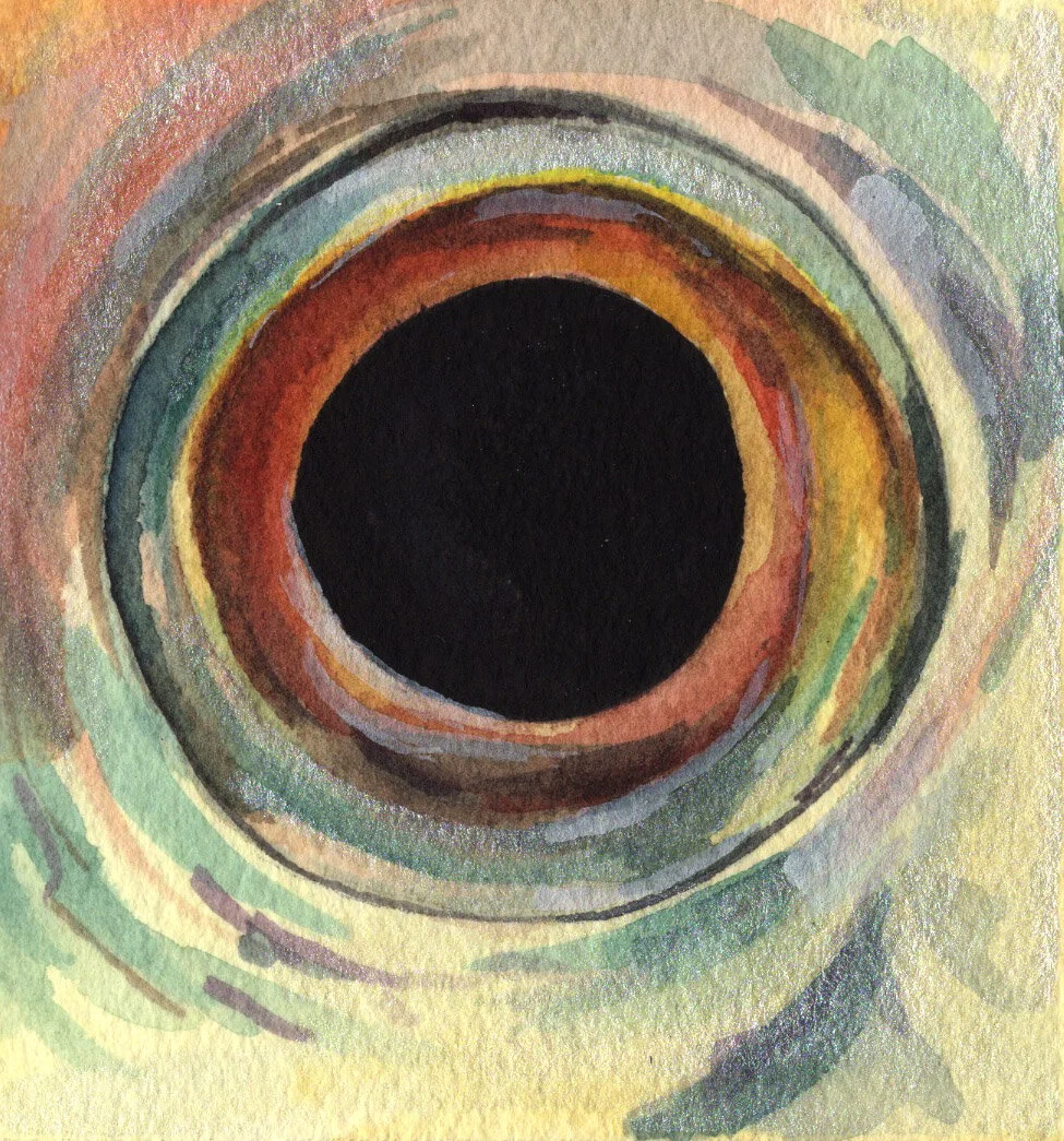 Arowana Eye.jpg
