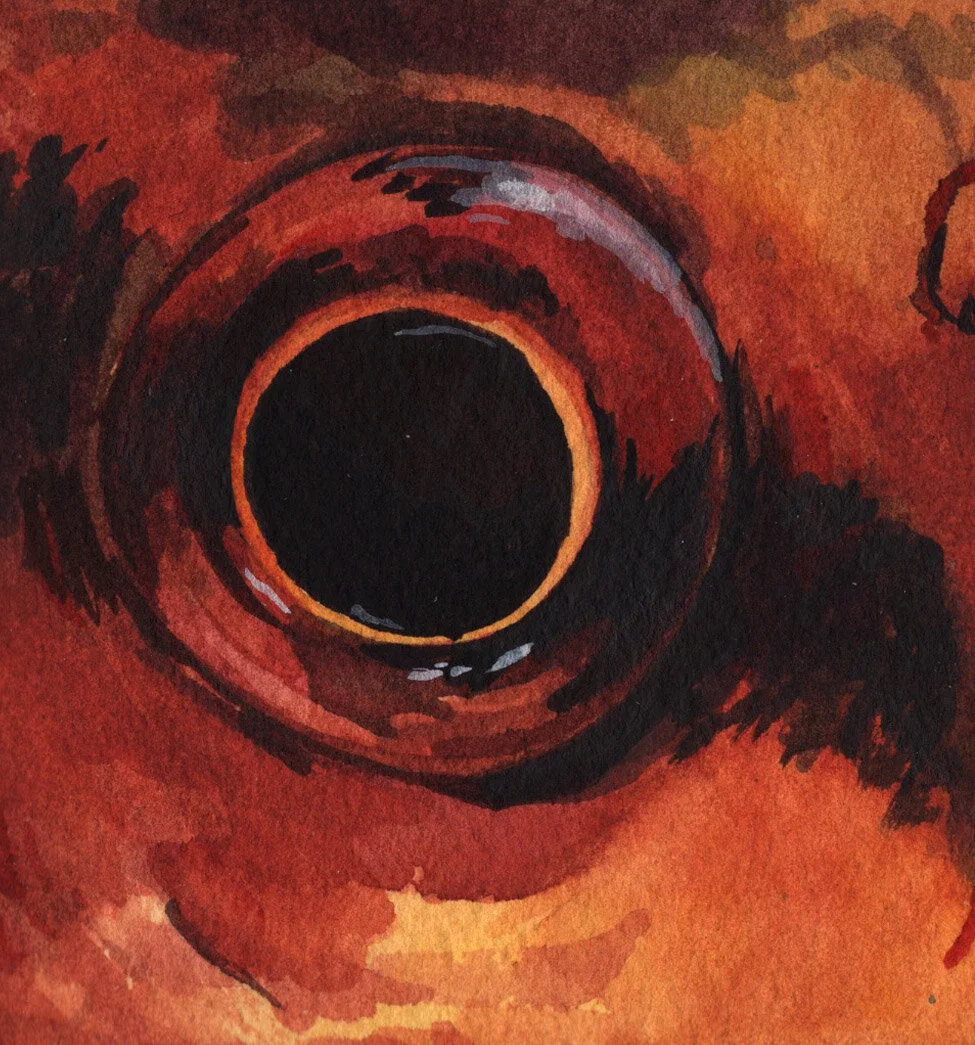 Cherry Barb Eye.jpg