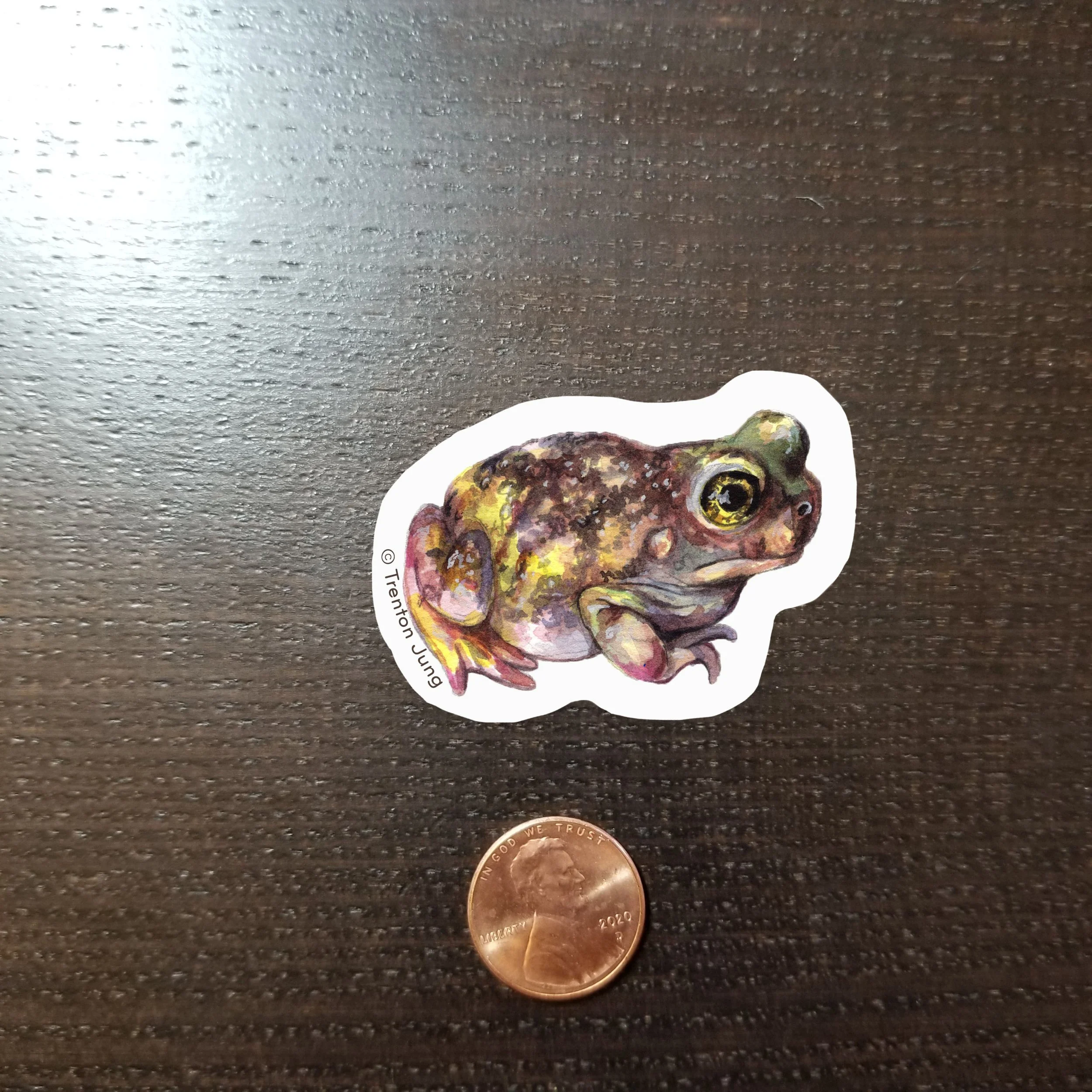 Spadefoot_Product Pic.jpg