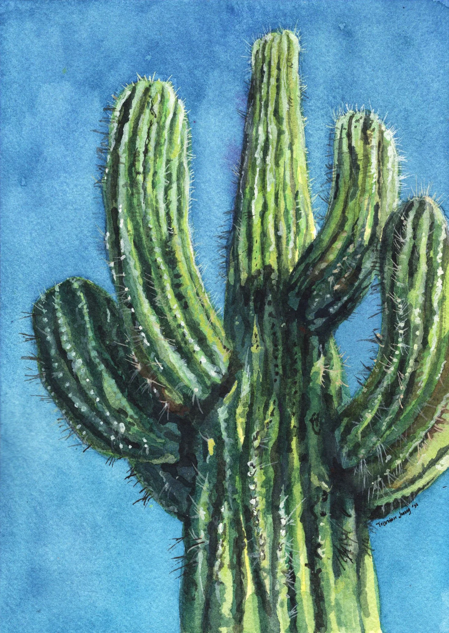 Saguaro.jpg