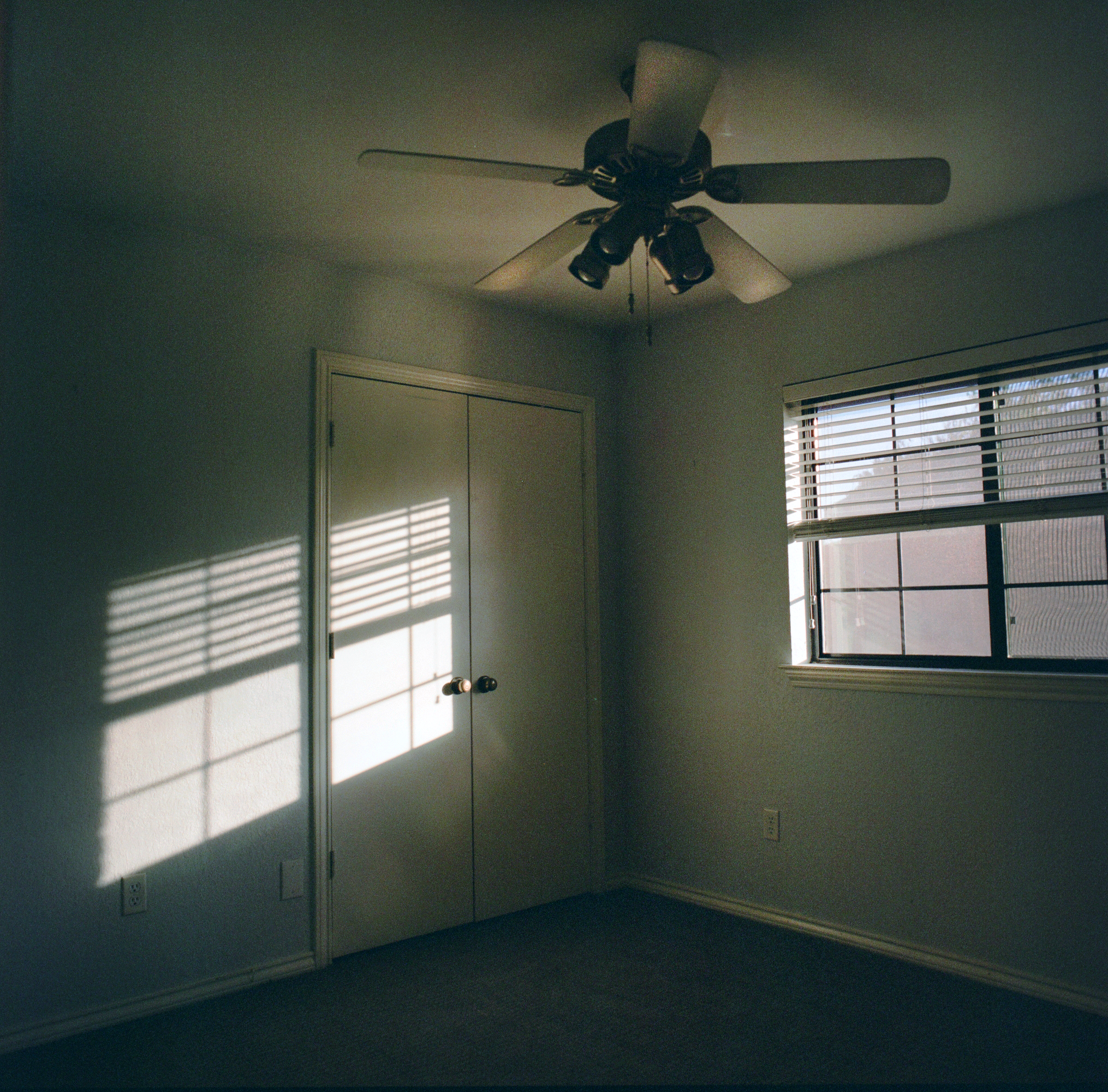fujifilm_fujicolor_pro_400h_09_09_2022_000071480011.png