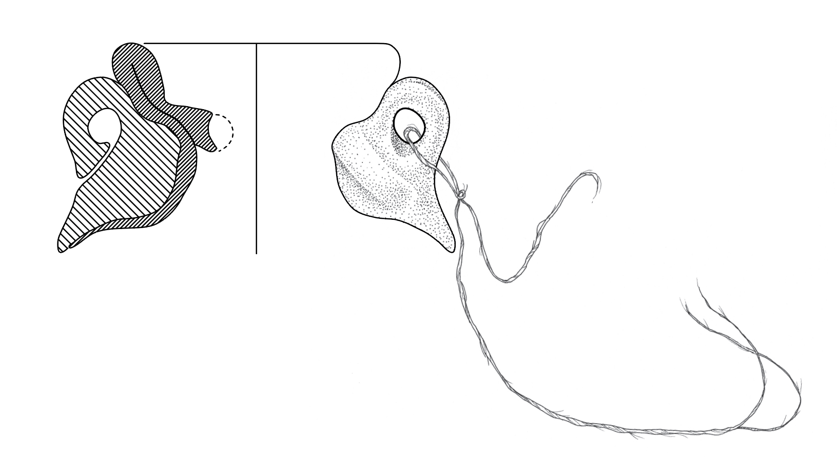   Vessel Profile  Pen / Adobe Illustrator 