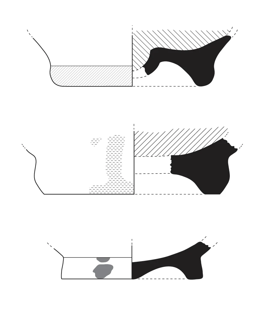 Vessel Profiles Adobe Illustrator