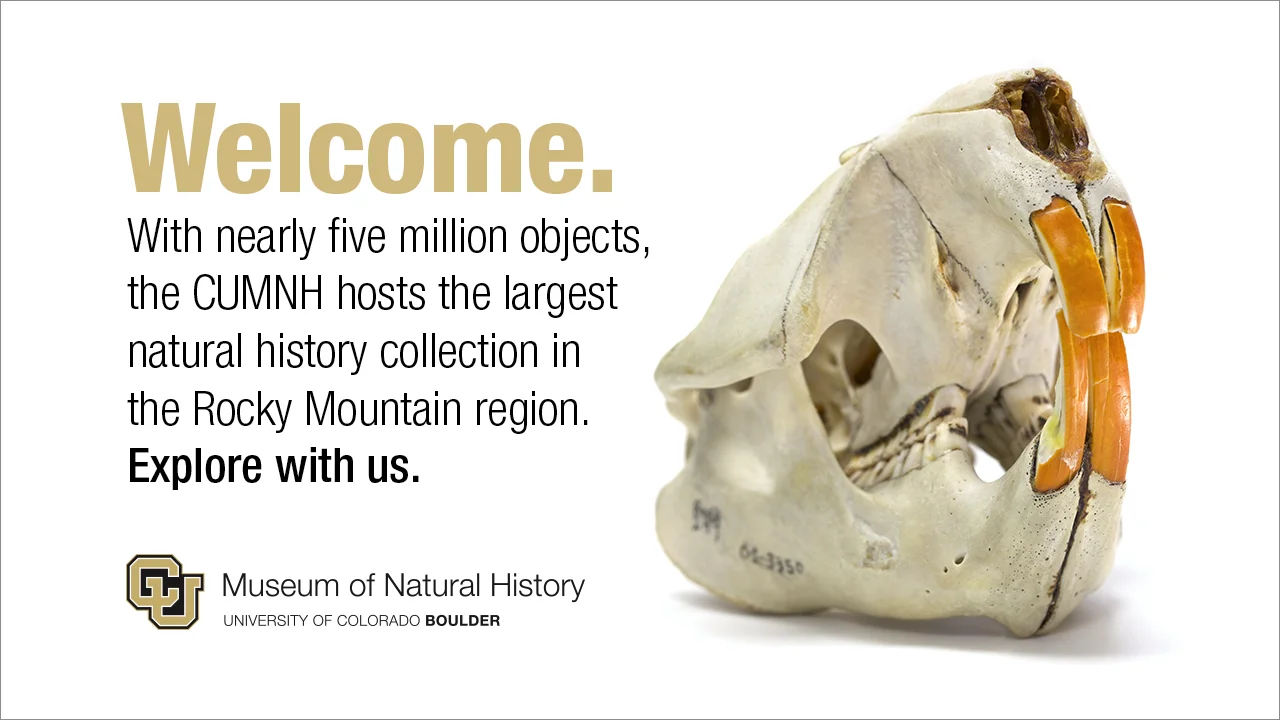 PowerPoint Slide University of Colorado Natural History Museum Adobe Photoshop