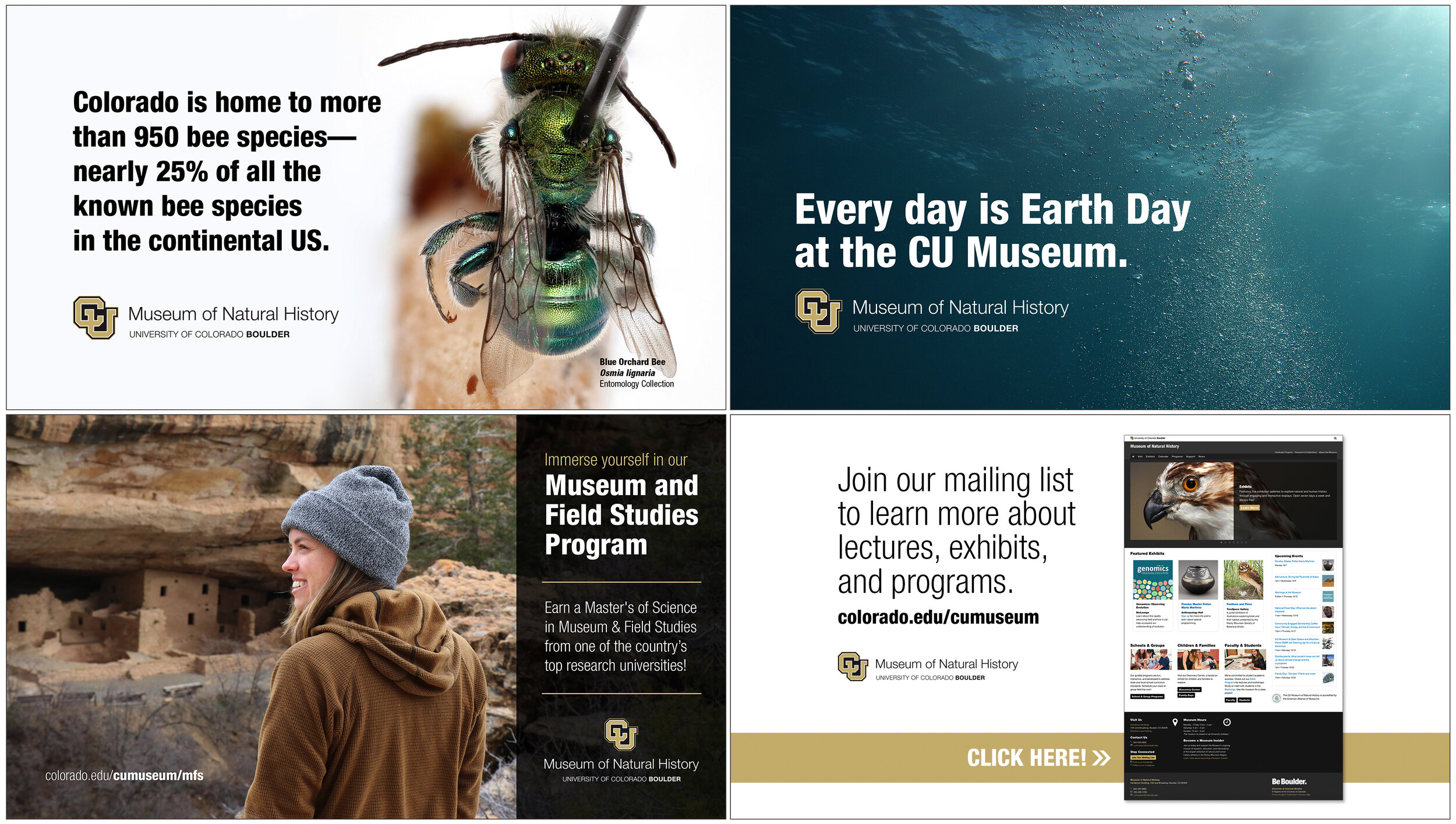   PowerPoint Slides  University of Colorado Natural History Museum Adobe Photoshop 