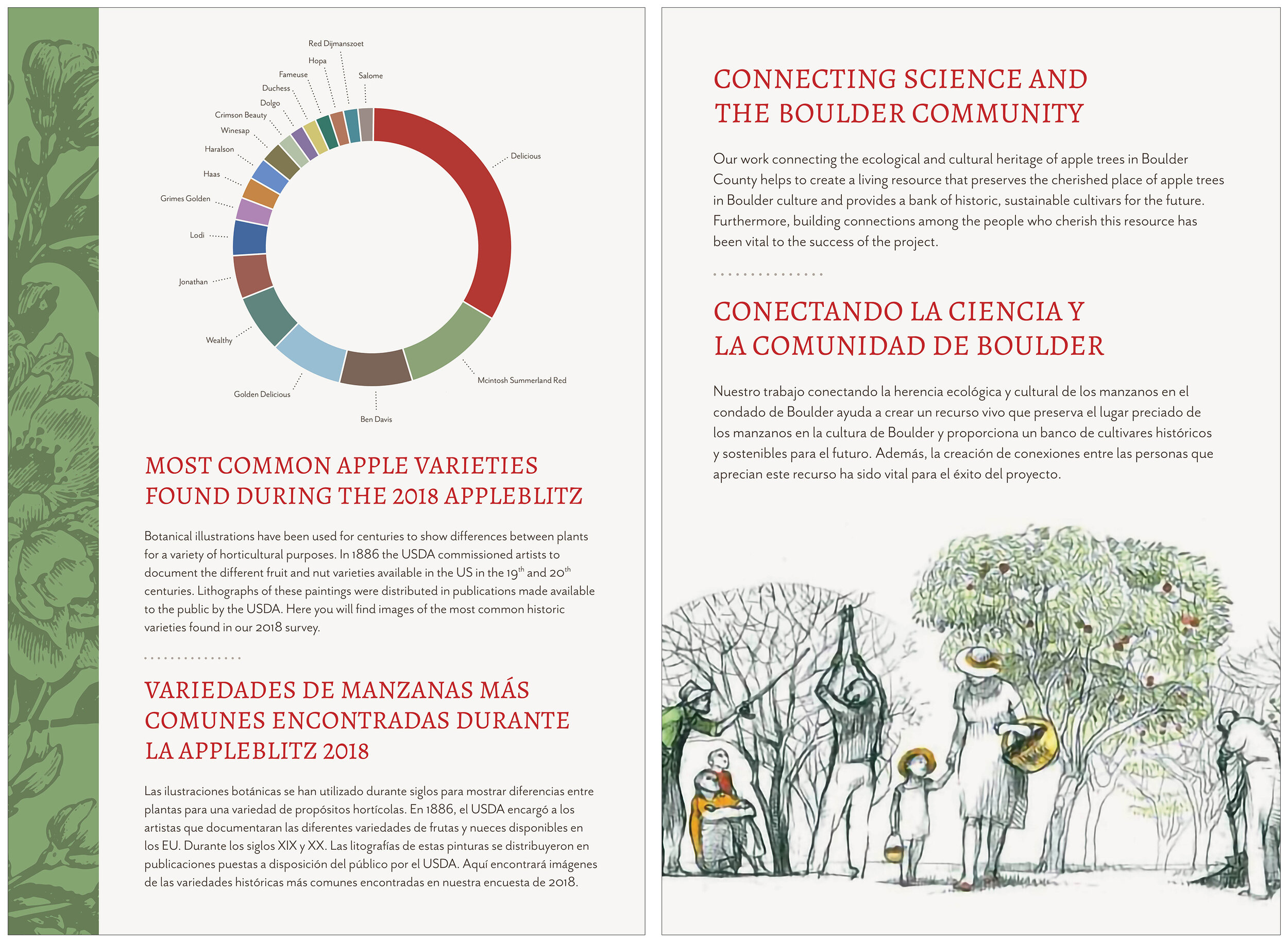   Exhibit Panels  University of Colorado Natural History Museum Adobe InDesign 